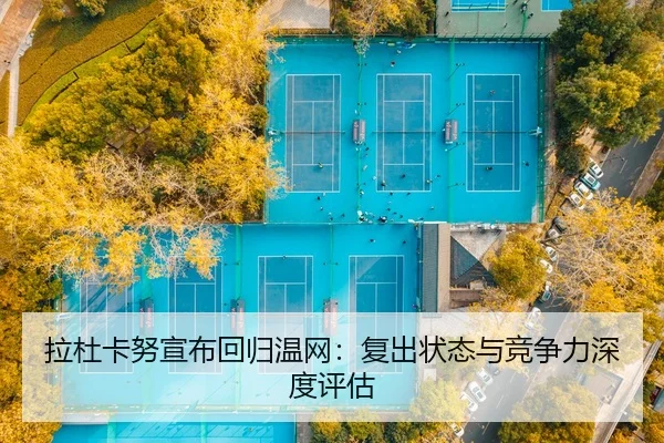 la-du-ka-nu-xuan-bu-hui-gui-wen-wang-fu-chu-zhuang-tai-yu-jing-zheng-li-shen-du-ping-gu-2-189.jpg